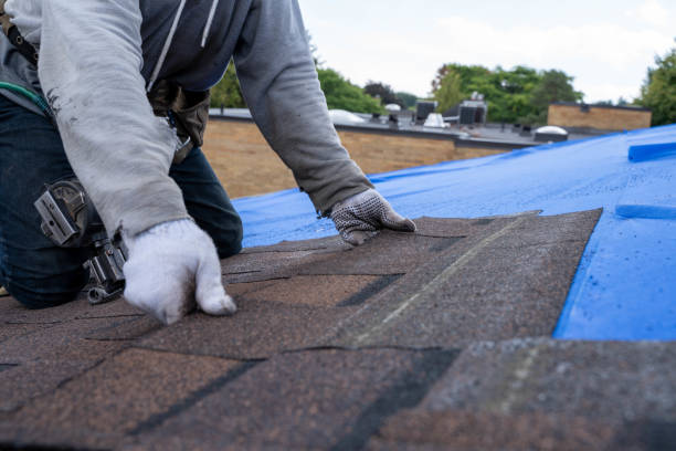Best Roof Restoration Services  in Hanover Park, IL